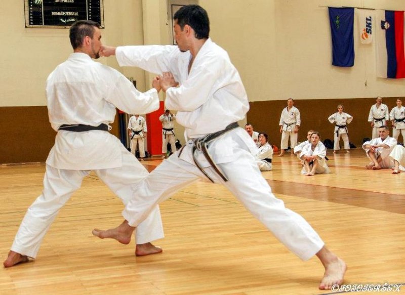 Karateiste čaka še veliko aktivnosti pred koncem šolskega leta 2012/2013