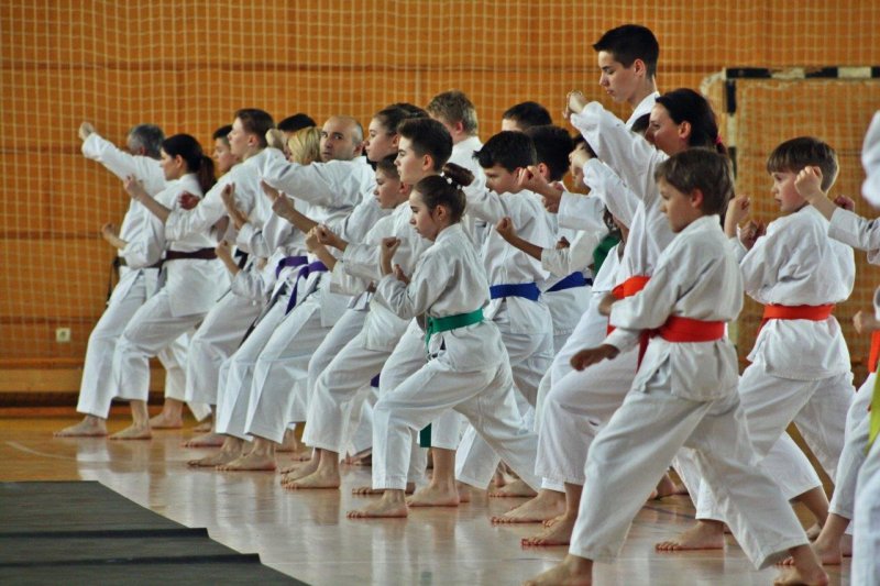 Uspešnih 10 let karateja na Igu